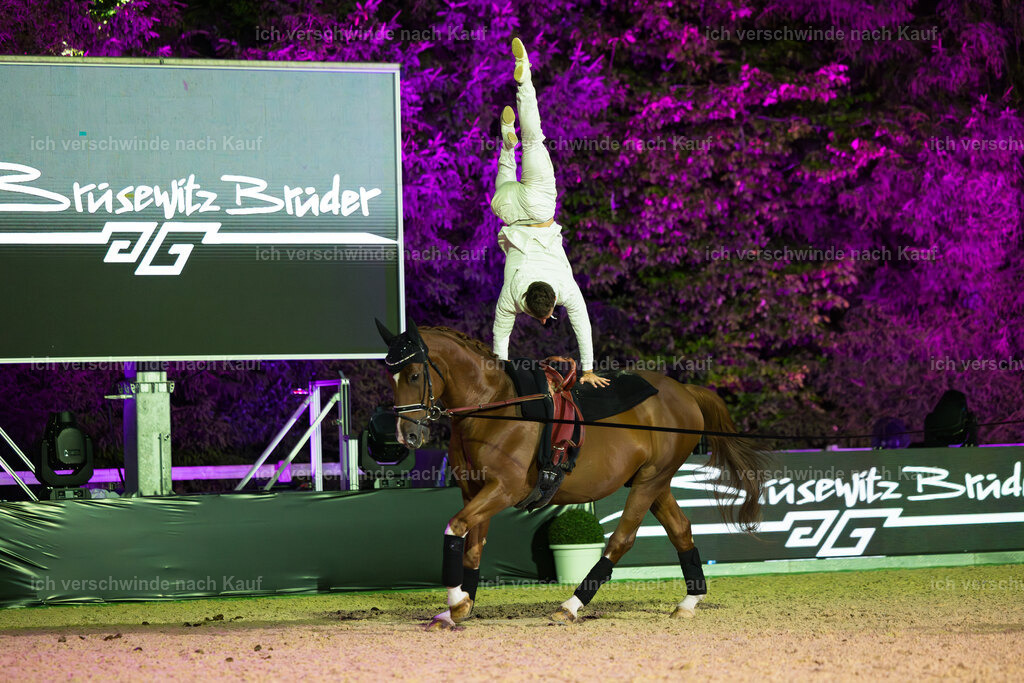 Gala-261 | working equitationturnier fotograf videograf stoibphotography marixx film working equitation deutschland reitsport turnierfotografie eventfotografie equestrian events