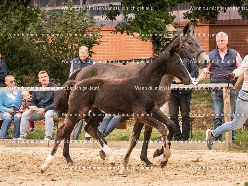 A10I1639 | photographylinaismer - Realisiert mit Pictrs.com