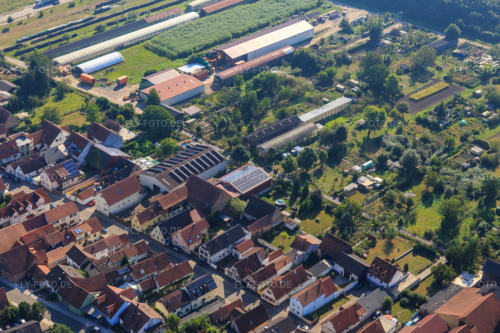 Luftbild: Landwirtschaftliche Hallen am Ettenbaum in Kandel im Bundesland Rheinland-Pfalz in Deutschland. Foto: IMG_094925.jpg vom 24.09.2016 durch Werner Riehm/FLY-FOTO.de