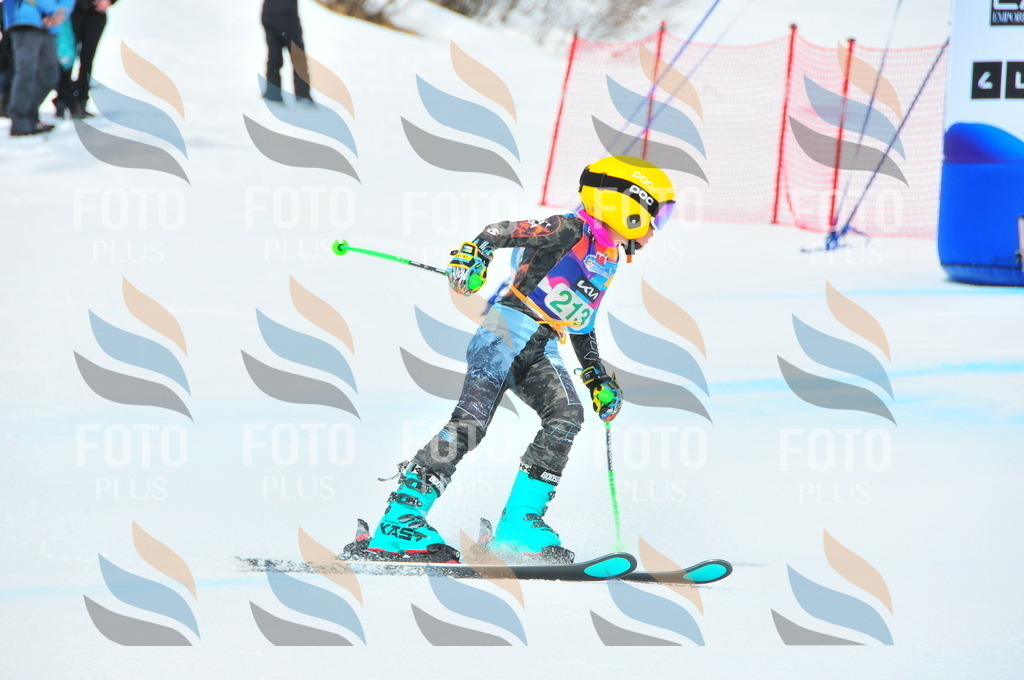 DSC_1957 | holidayphoto