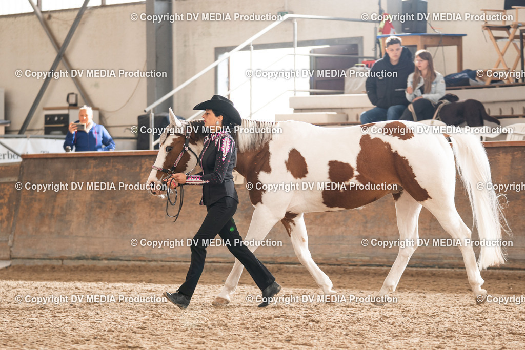 Heiligenwald Tag 2-328 | dv-media-shop - Realisiert mit Pictrs.com