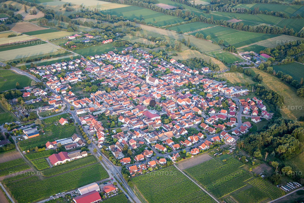 Luftbild: landwirtschaftlichen Feldern und Nutzflächen in Venningen im Bundesland Rheinland-Pfalz in Deutschland. Foto: IMG_082780.jpg vom 25.06.2015 durch Werner Riehm/FLY-FOTO.de