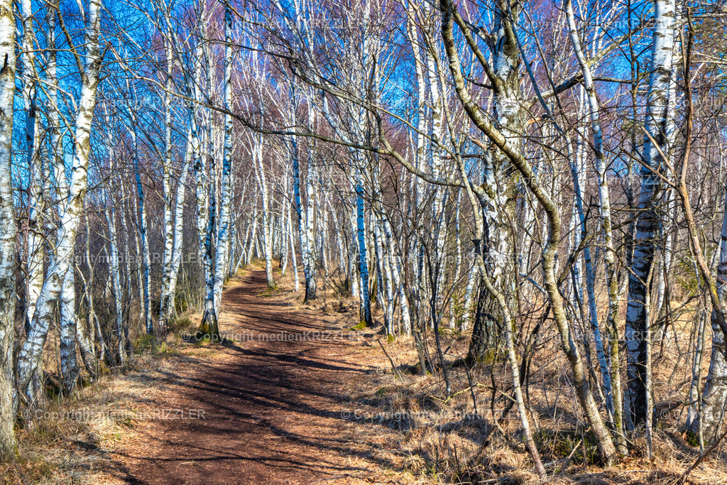 _07A6709 | medienkrizzler - Realisiert mit Pictrs.com