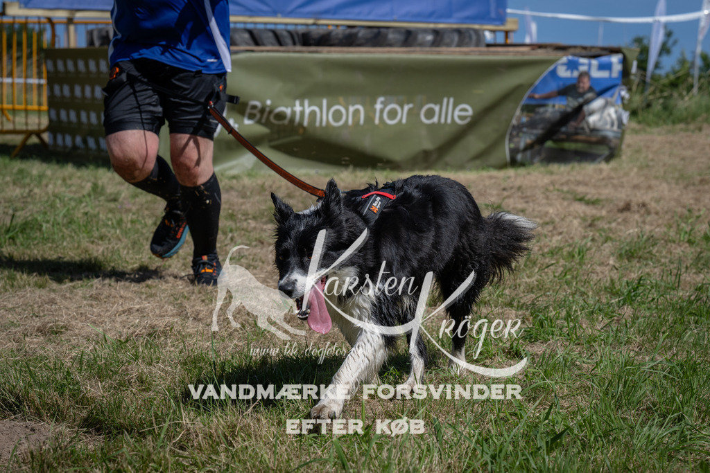 1227_ZZ95306 | kk-dogfotos