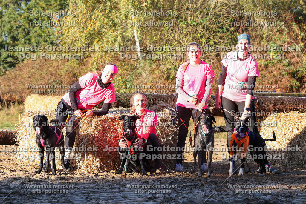 Dog Paparazzi - Strongdog 10-25-875 | Dog Paparazzi Jeanette Grottendiek Fotografie & Videografie - Realisiert mit Pictrs.com