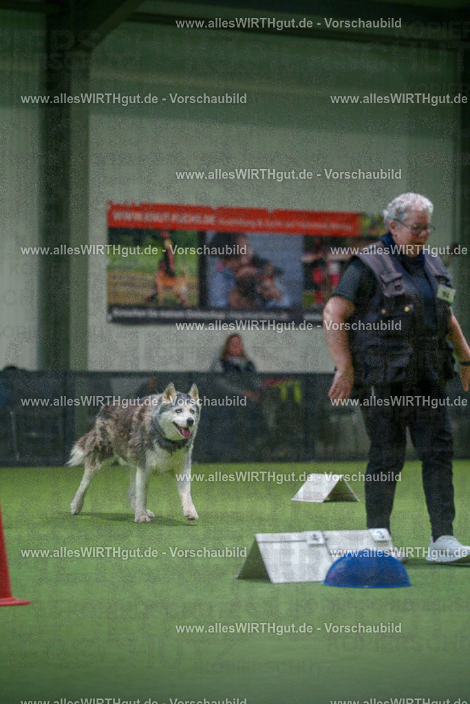 7R504367 | Professionelle Tierfotografie in Mönchengladbach von Daniel Wirth (allesWIRTHgut). Liebevolle & natürliche Bilder von Hunden & Katzen für unvergessliche Erinnerungen.