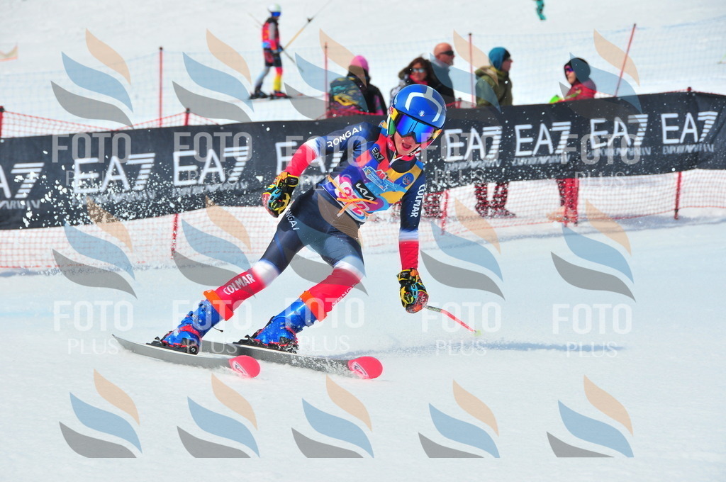 DSC_7152 | holidayphoto