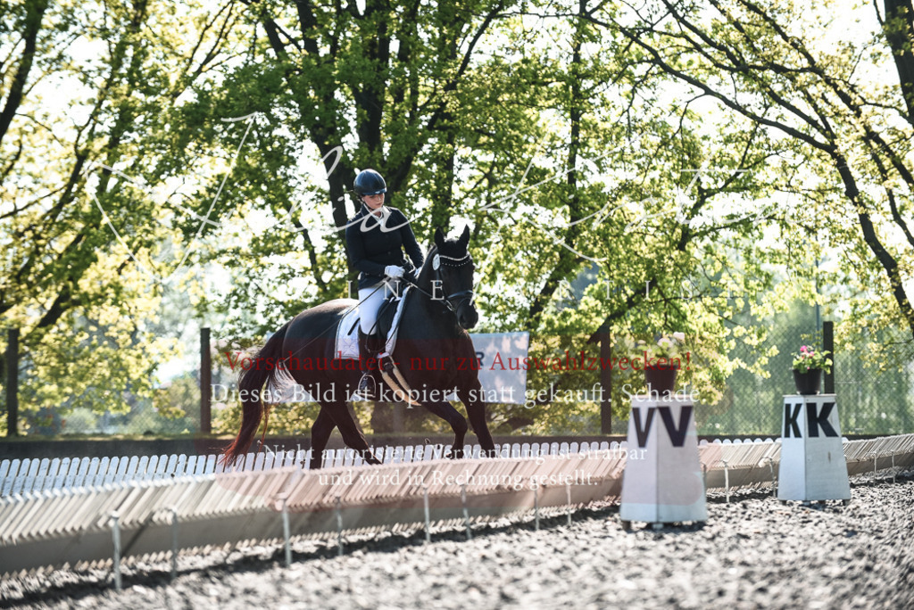DSC_8637 | Pferde- und Turnierfotografie in Westsachsen. Pferdeportraits, Auftragszeichnungen und intuitive Kunst.