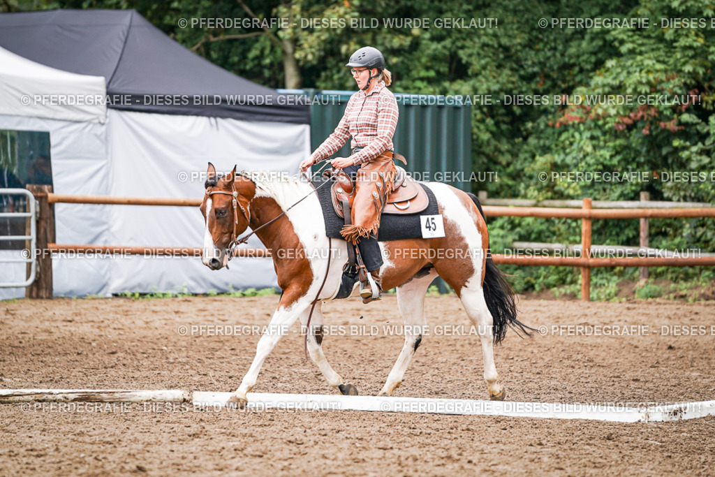 DSC04078 | Pferdegrafie