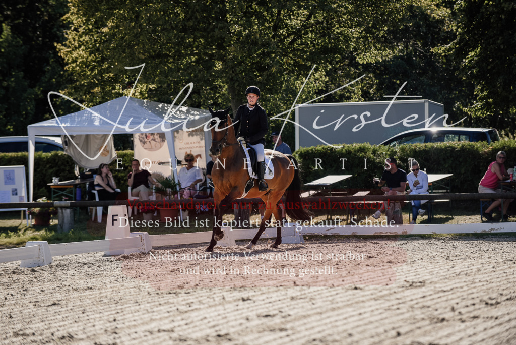 DSC_0312 | Pferde- und Turnierfotografie in Westsachsen. Pferdeportraits, Auftragszeichnungen und intuitive Kunst.