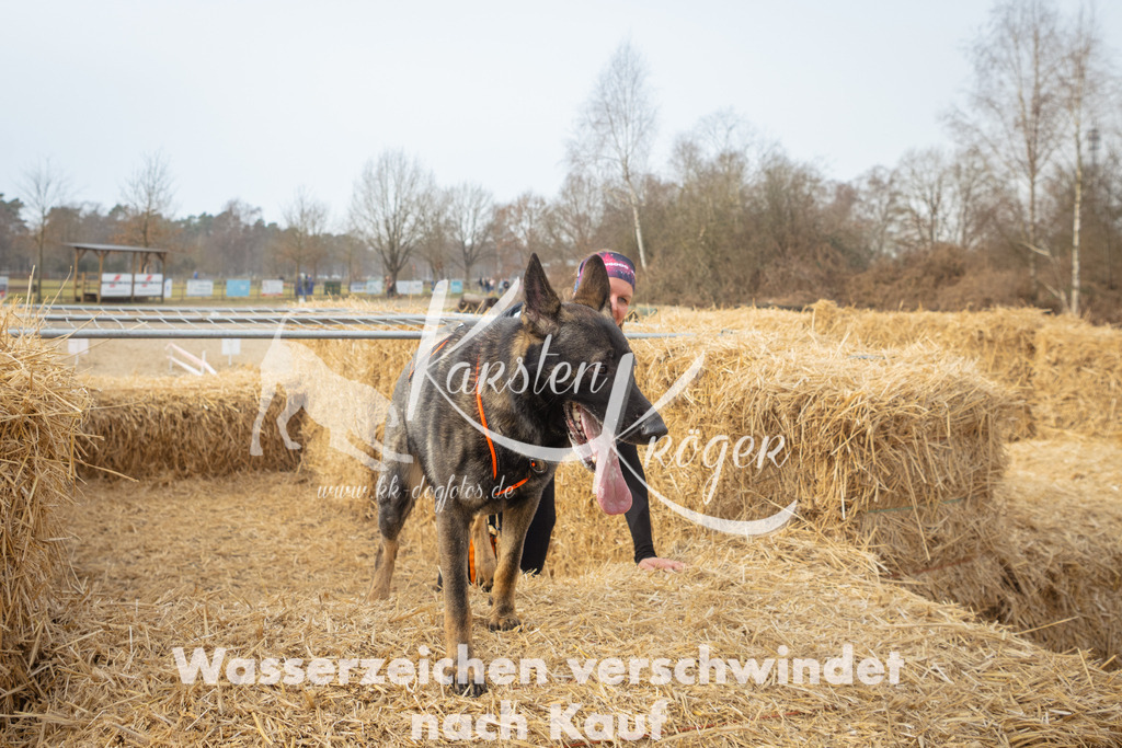 1046_ZZ99125 | kk-dogfotos