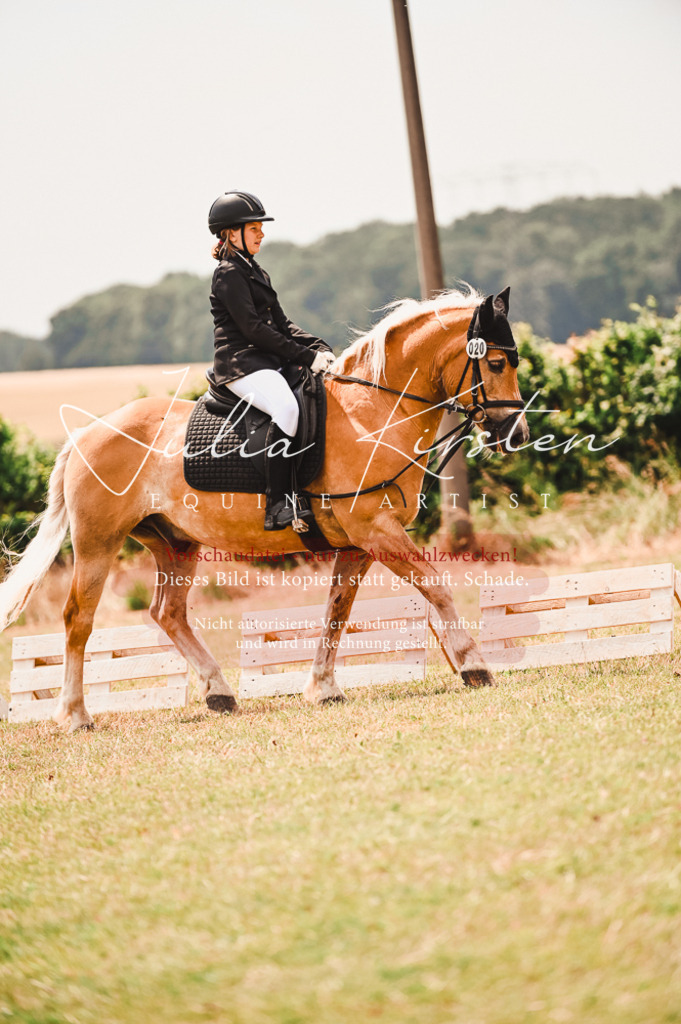 DSC_6362 | Pferde- und Turnierfotografie in Westsachsen. Pferdeportraits, Auftragszeichnungen und intuitive Kunst.