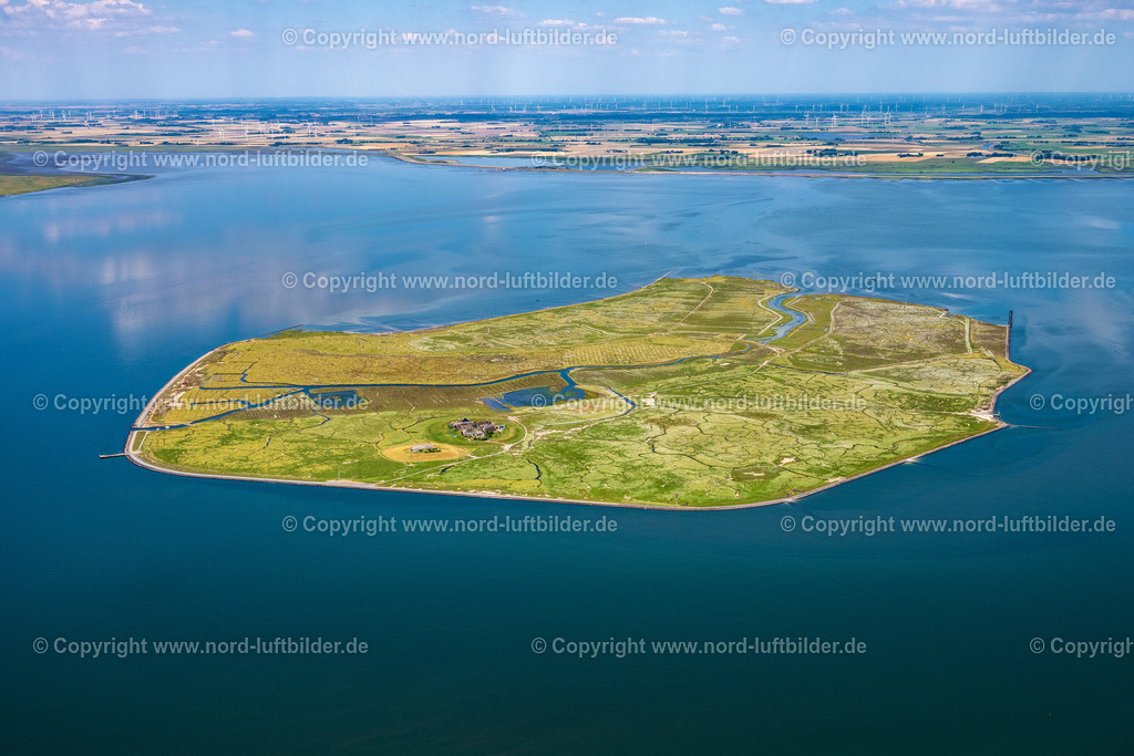 Nordstrandischmoor_ELS_0131130822 | Hallig Gröde 13.08.2022 Hallig Gröde im Bundesland Schleswig-Holstein, Deutschland. // Hallig Nordstrandischmoor in Nordstrand in the state Schleswig-Holstein, Germany. Foto: Martin Elsen
