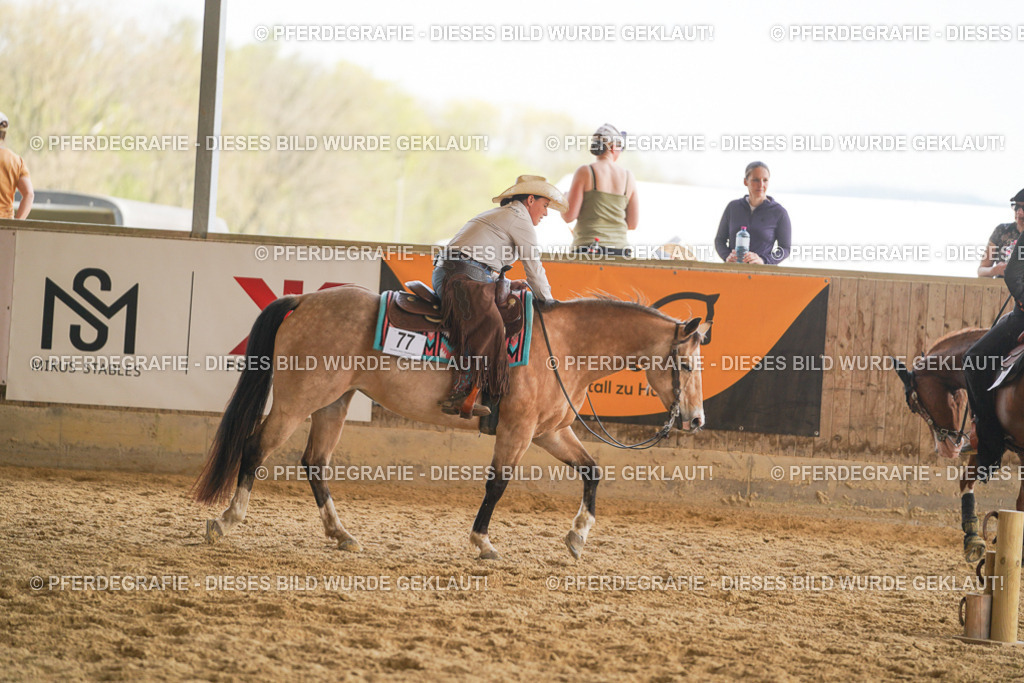 DSC01913 | Pferdegrafie