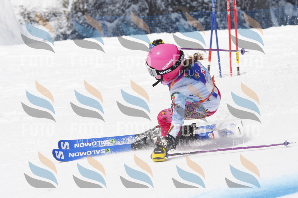 _W1G0942 | holidayphoto