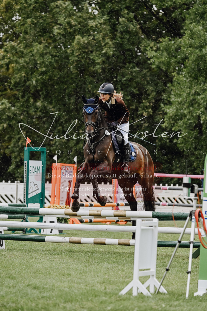 DSC_6927 | Pferde- und Turnierfotografie in Westsachsen. Pferdeportraits, Auftragszeichnungen und intuitive Kunst.