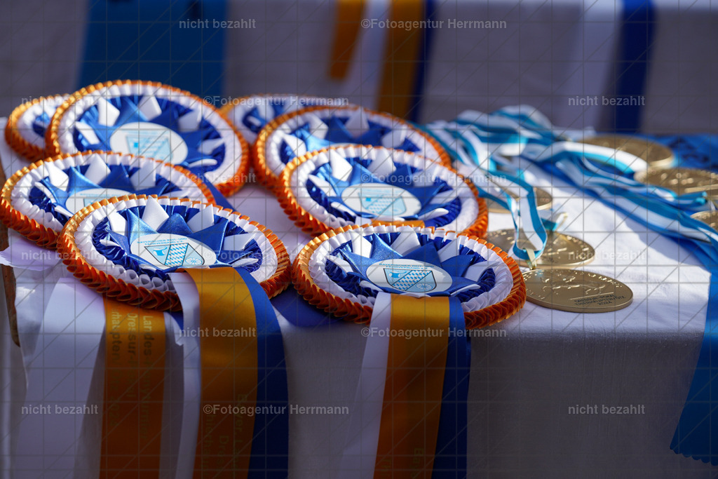 20240825-FAH00425 | Turnierbilder, Reitsportfotos, LAPO, Landesponyturnier, Turnierfotografen Bayern