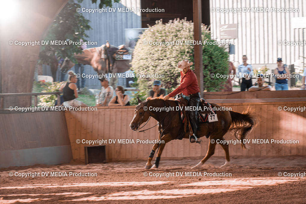 NE201308 | dv-media-shop - Realisiert mit Pictrs.com