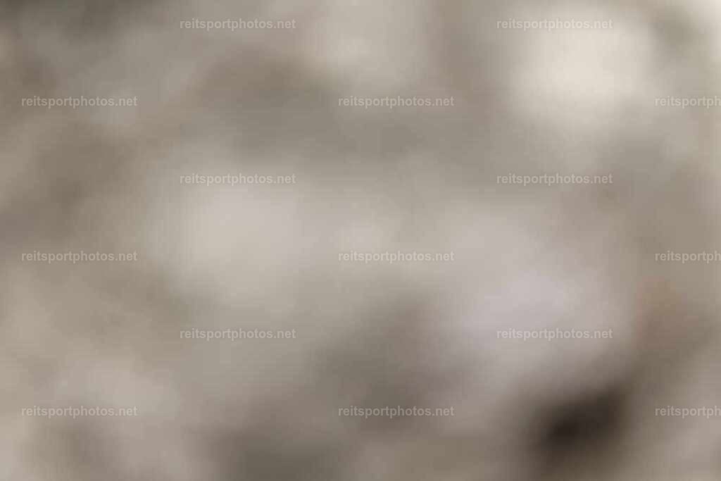 JoYaR3_Heidehof_01063 | JoYa Fotografie - Realisiert mit Pictrs.com