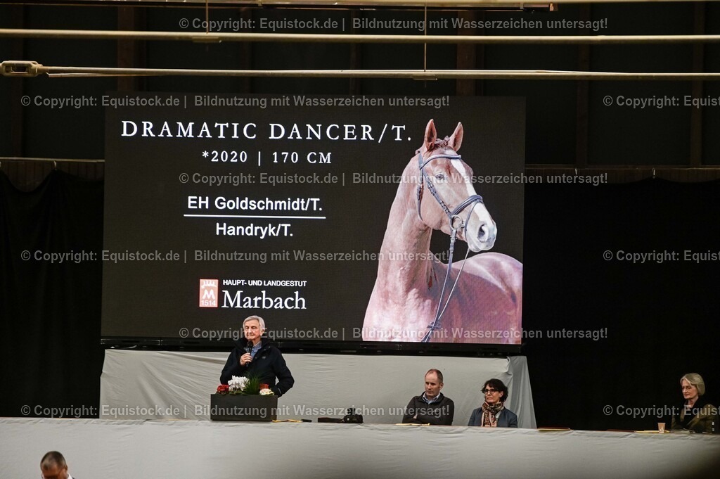 20260307_Hengstvorstellung-Marbach_0215 | equistock