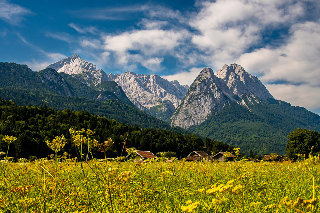 Sommerliche Fülle vor dem Wettersteingebirge | Eine blühende Sommerwiese mit leuchtend gelben Wildblumen erstreckt sich im warmen Sonnenlicht vor den Toren von Garmisch-Partenkirchen. Dahinter türmen sich die markanten Felsmassive des Wettersteingebirges mit Alpspitze und Waxensteinen spektakulär in den blau-weißen Sommerhimmel auf. Die Kombination aus blühender Natur, urigen Holzhütten und majestätischen Bergriesen verkörpert die pure Idylle und Lebensfreude eines perfekten Sommertages im bayerischen Voralpenland. - Realisiert mit Pictrs.com