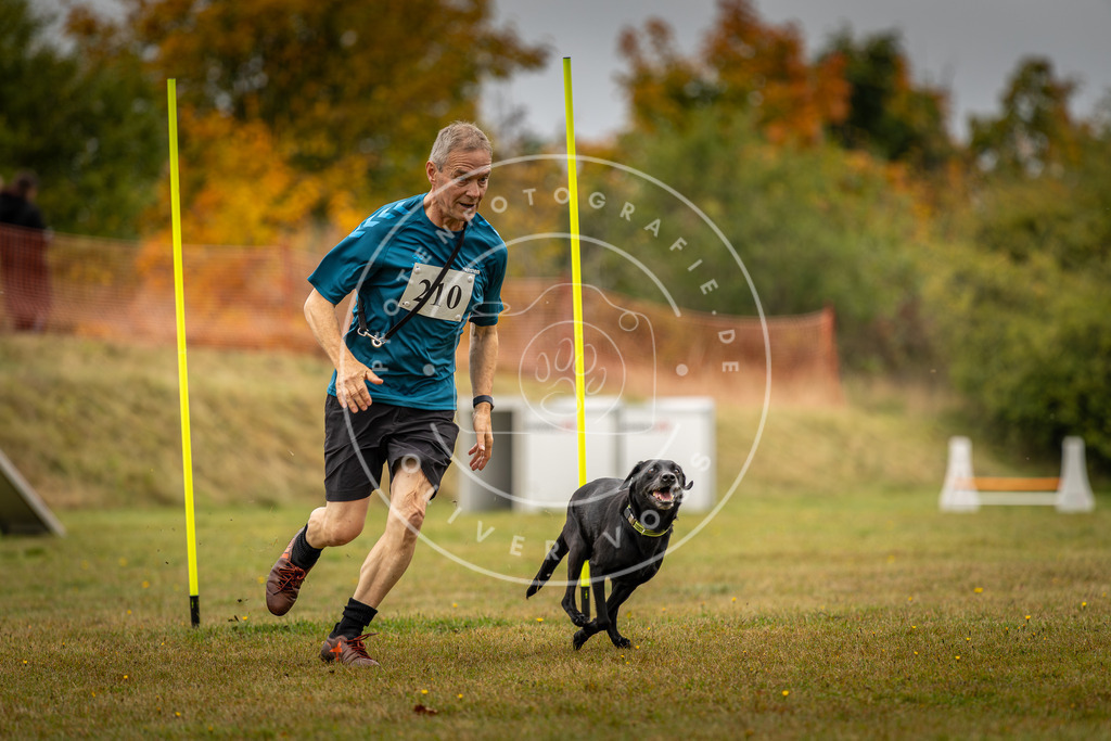 Pfotenfotografie_DV3A2379 | Hundefotografie, Tierfotograf, Pfotenfotografie, Fotoshooting Hund, Hunde Portrait, Hundesport, Hundeportraits, Heideshooting, Hunde, Sportfotograf, Hundefotograf, Turnierhundsport, THS,  - Realisiert mit Pictrs.com