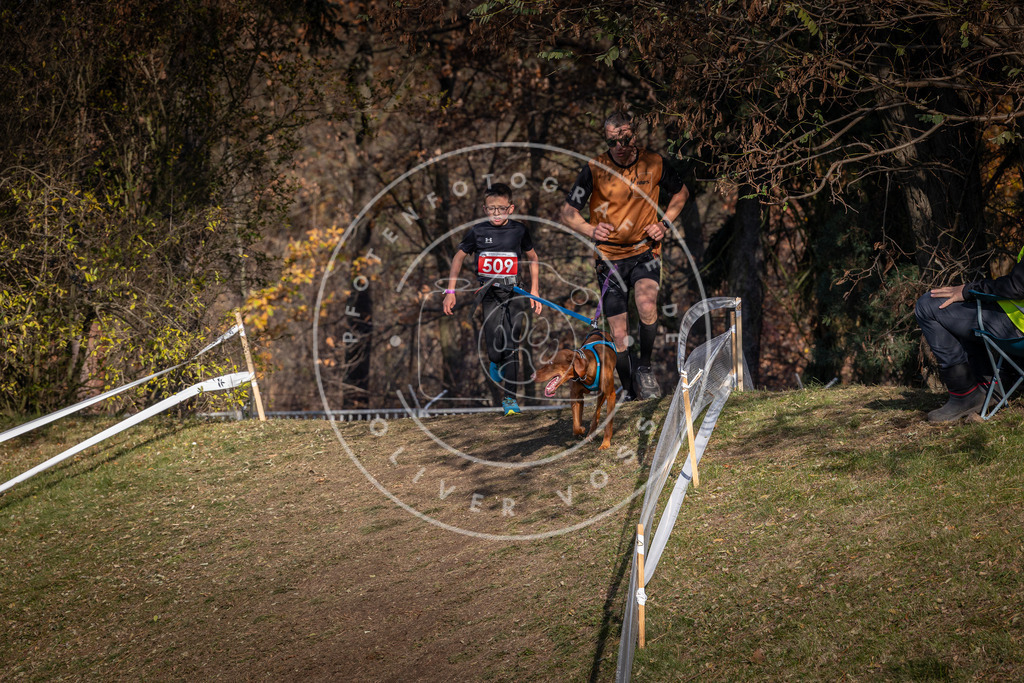 CaniXpix_0L8A8450 | Hundefotografie, Tierfotograf, Pfotenfotografie, Fotoshooting Hund, Hunde Portrait, Hundesport, Hundeportraits, Heideshooting, Hunde, Sportfotograf, Hundefotograf, Turnierhundsport, THS,  - Realisiert mit Pictrs.com