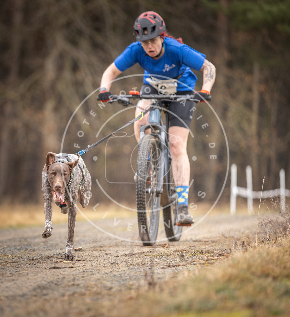 DV3A3244 | Hundefotografie, Tierfotograf, Pfotenfotografie, Fotoshooting Hund, Hunde Portrait, Hundesport, Hundeportraits, Heideshooting, Hunde, Sportfotograf, Hundefotograf, Turnierhundsport, THS,  - Realisiert mit Pictrs.com