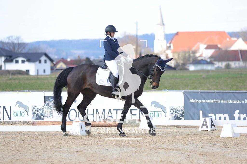 0P6A7822 | Willkommen bei Brunnmayr - Design & Fotografie – Ihrem Spezialisten für Reitturniere und Pferdeveranstaltungen in Oberösterreich, Salzburg und Bayern! Seit über 17 Jahren sind wir leidenschaftlich dabei.