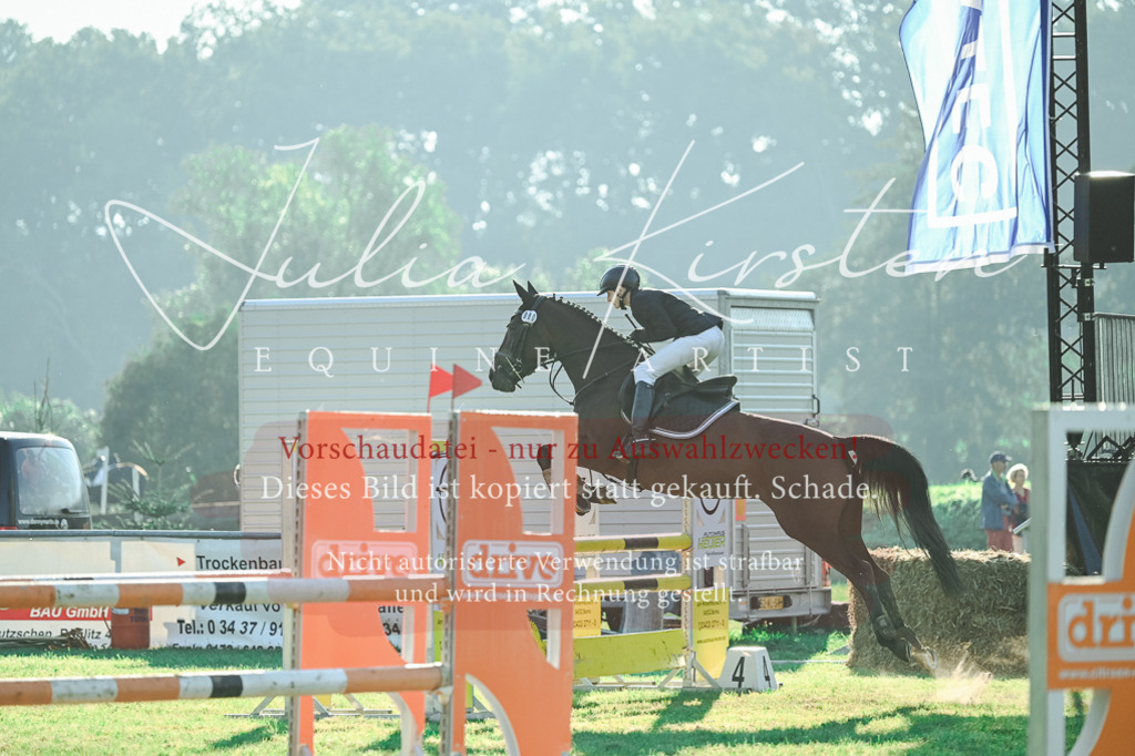 DSC_4409 | Pferde- und Turnierfotografie in Westsachsen. Pferdeportraits, Auftragszeichnungen und intuitive Kunst.