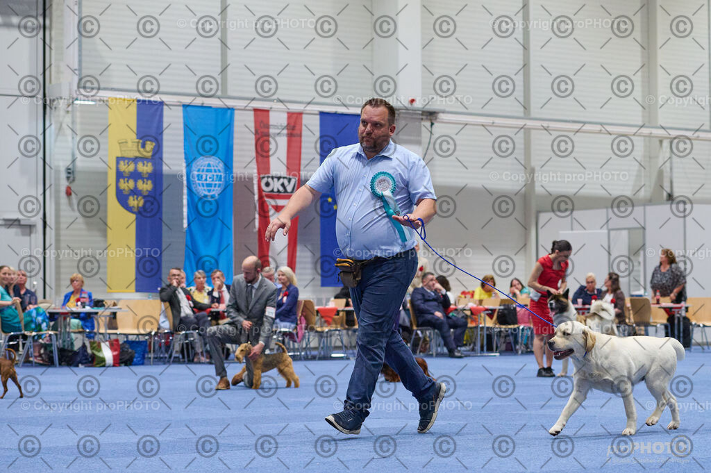 202406_ÖKV-IHA-Tulln24_DSC_3393 | proPHOTO - Realisiert mit Pictrs.com