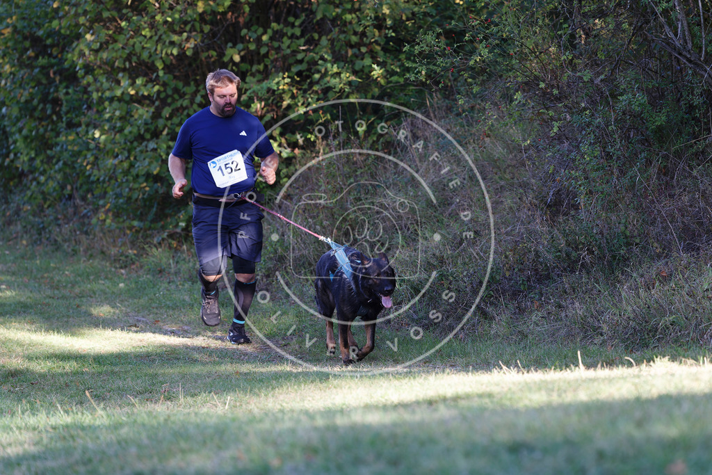 0L8A5039 | Hundefotografie, Tierfotograf, Pfotenfotografie, Fotoshooting Hund, Hunde Portrait, Hundesport, Hundeportraits, Heideshooting, Hunde, Sportfotograf, Hundefotograf, Turnierhundsport, THS,  - Realisiert mit Pictrs.com