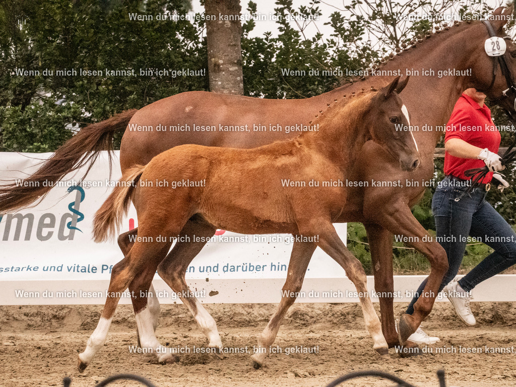 A10I2219 15.54.45 | photographylinaismer - Realisiert mit Pictrs.com