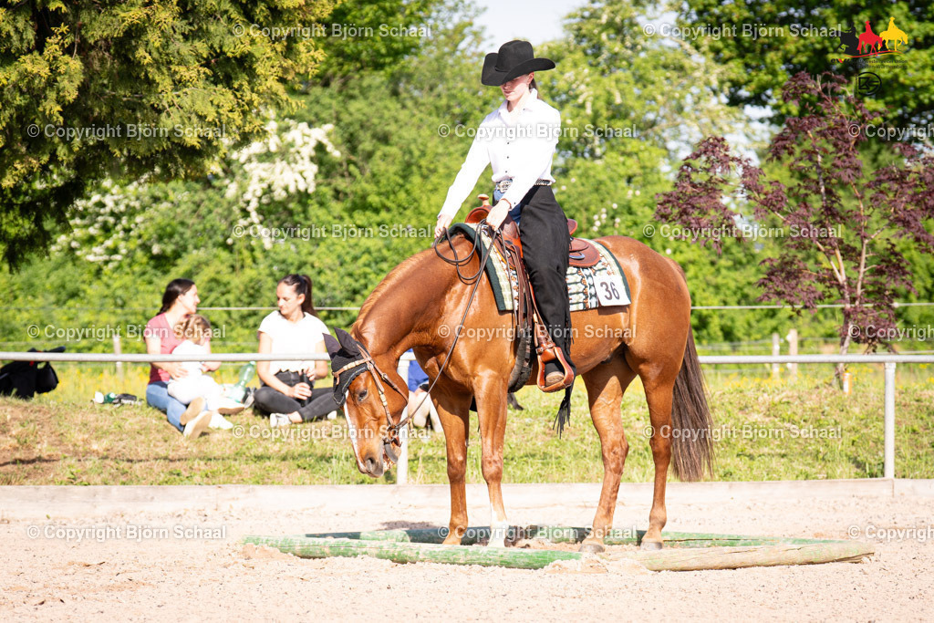LMB08774 | BS-foto