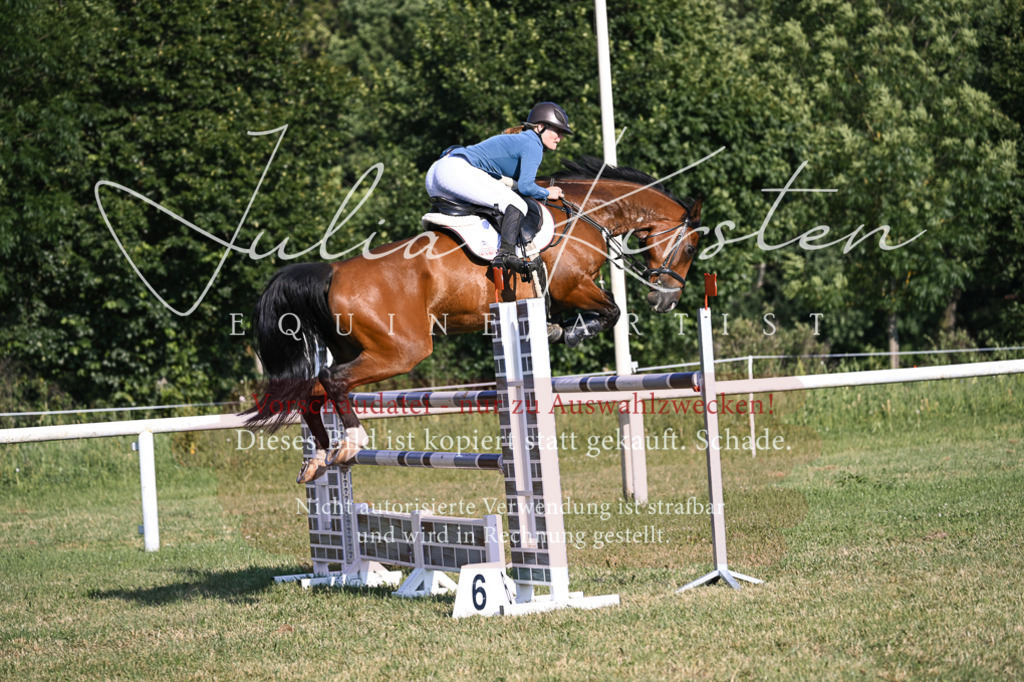 DSC_1606 | Pferde- und Turnierfotografie in Westsachsen. Pferdeportraits, Auftragszeichnungen und intuitive Kunst.