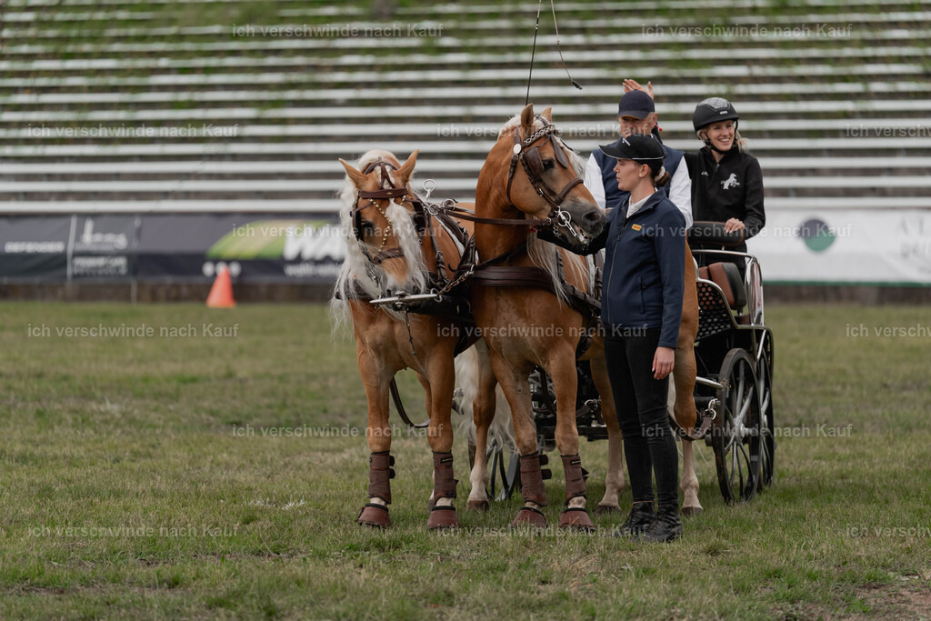 Showprogramm-525 | working equitationturnier fotograf videograf stoibphotography marixx film working equitation deutschland reitsport turnierfotografie eventfotografie equestrian events
