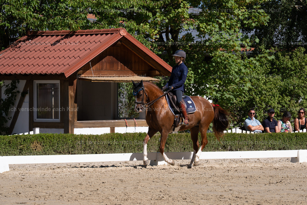 WL_DR_86_sinafilmart_IN06958 | working equitationturnier fotograf videograf stoibphotography marixx film working equitation deutschland reitsport turnierfotografie eventfotografie equestrian events