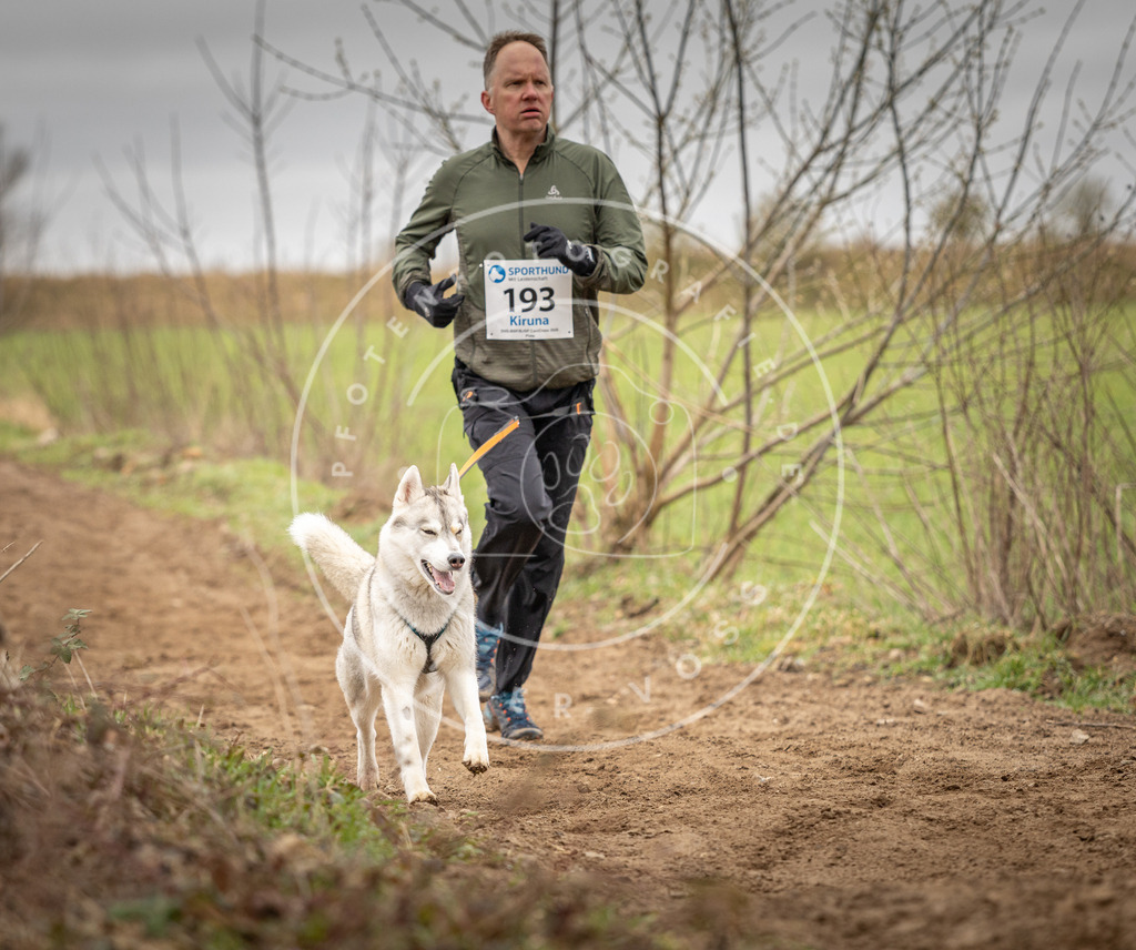 DV3A2245 | Hundefotografie, Tierfotograf, Pfotenfotografie, Fotoshooting Hund, Hunde Portrait, Hundesport, Hundeportraits, Heideshooting, Hunde, Sportfotograf, Hundefotograf, Turnierhundsport, THS,  - Realisiert mit Pictrs.com