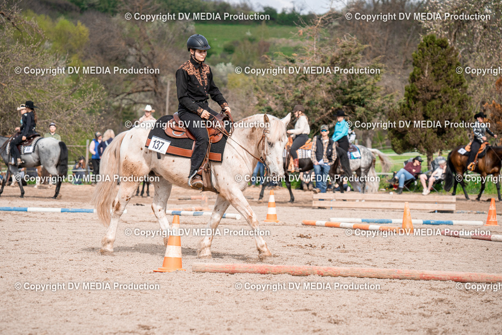 BAL02720 | dv-media-shop - Realisiert mit Pictrs.com