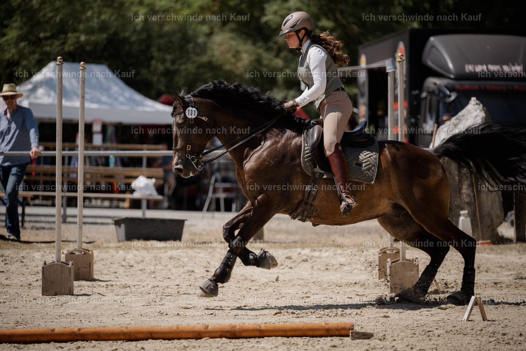 WM_SP_131_Stoibphotography_SO17920 | working equitationturnier fotograf videograf stoibphotography marixx film working equitation deutschland reitsport turnierfotografie eventfotografie equestrian events