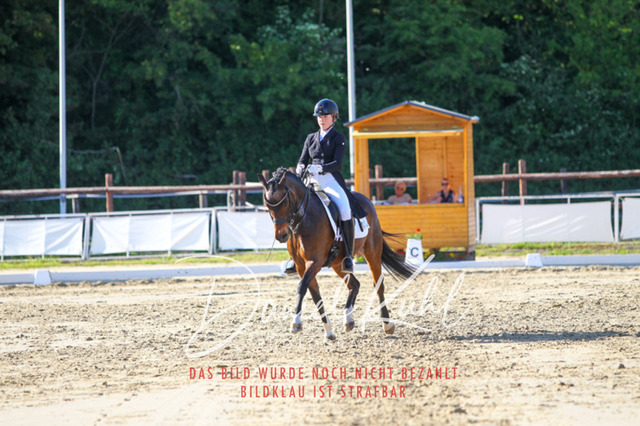DKP42800 | Turniersportfotografie; Pferdefotografie; Dressurfotografie