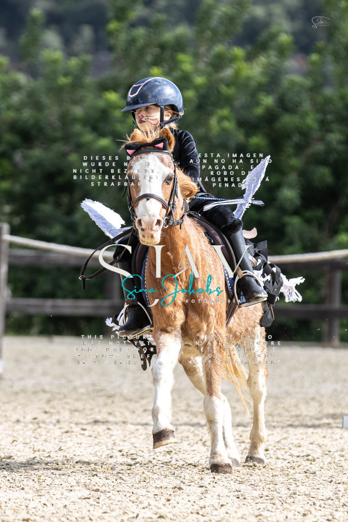 IMG_2149 | s-jay-photography - Realisiert mit Pictrs.com