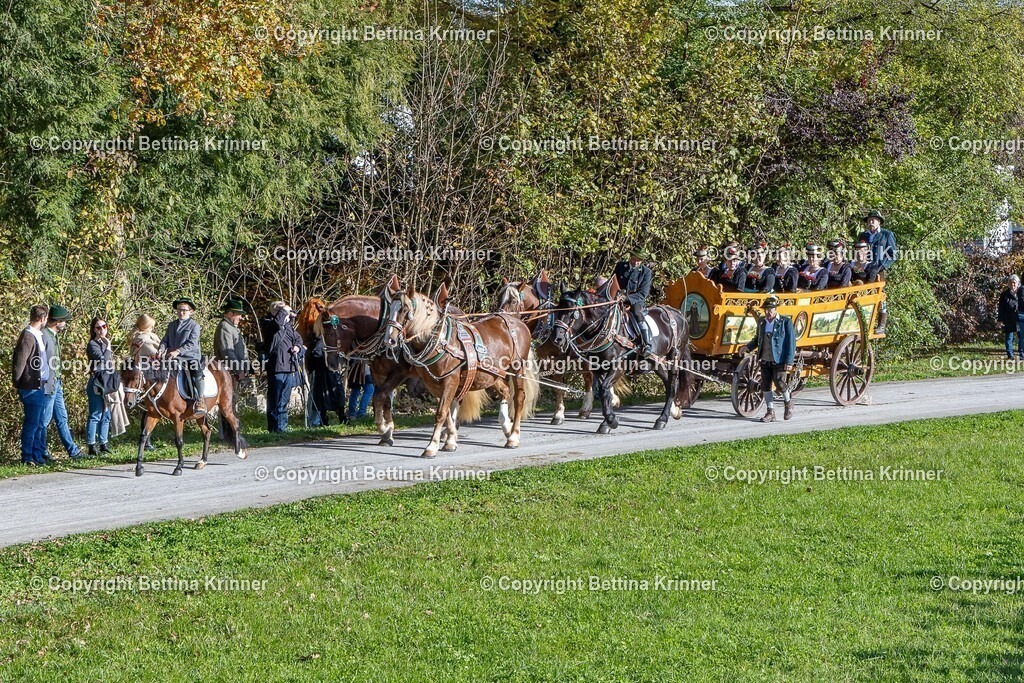 LBT24-813 | foto-bettina-krinner - Realisiert mit Pictrs.com
