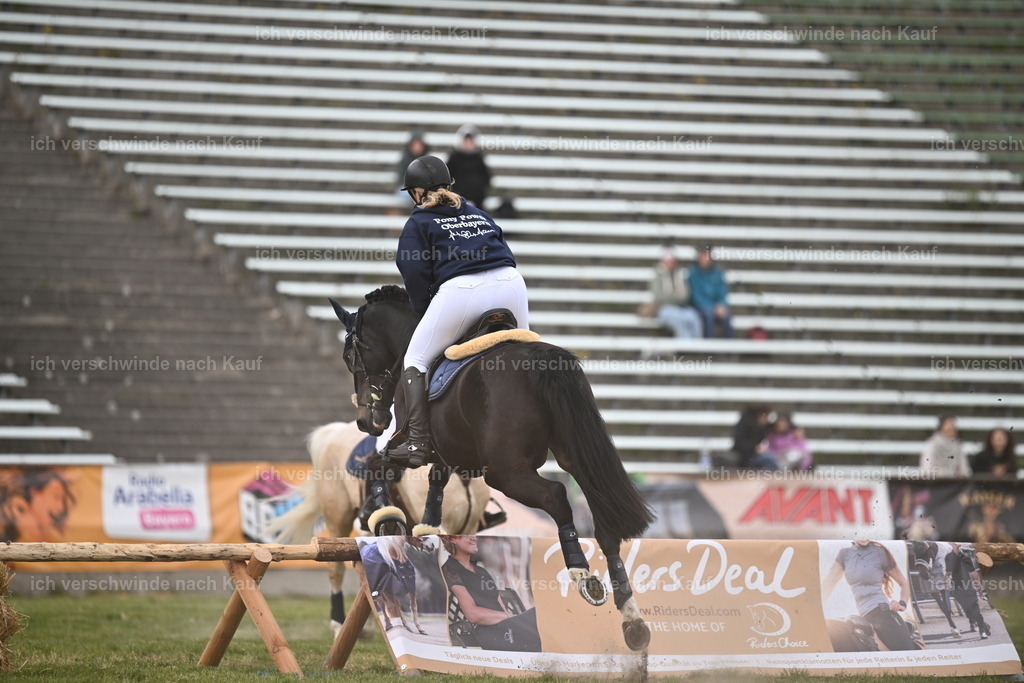 PI26_Show_Sara_Landvogt_226_1833.JPG | working equitationturnier fotograf videograf stoibphotography marixx film working equitation deutschland reitsport turnierfotografie eventfotografie equestrian events