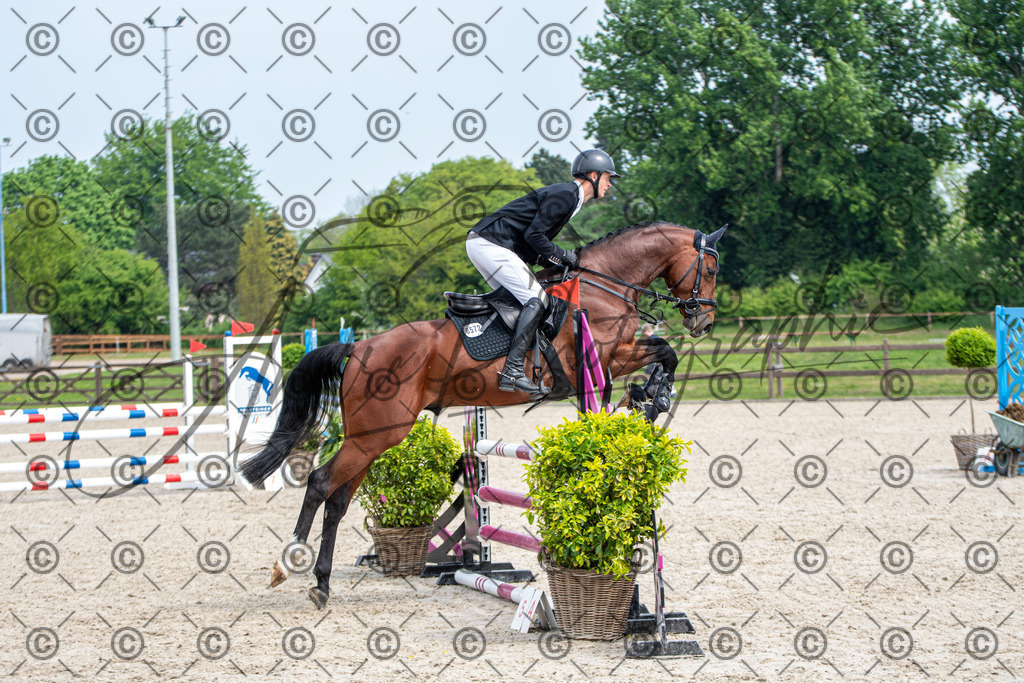 KPT_2705 | andre_photographic