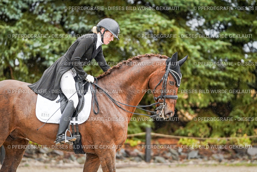 DSC09404 | Pferdegrafie