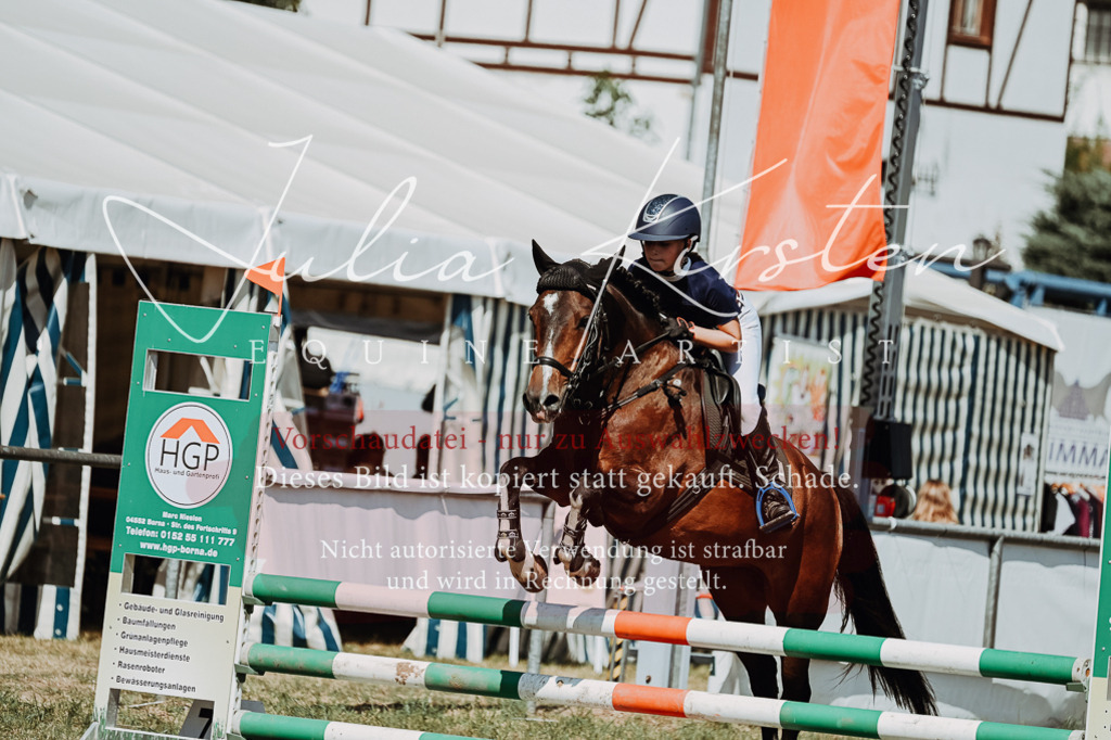 DSC_0067 | Pferde- und Turnierfotografie in Westsachsen. Pferdeportraits, Auftragszeichnungen und intuitive Kunst.