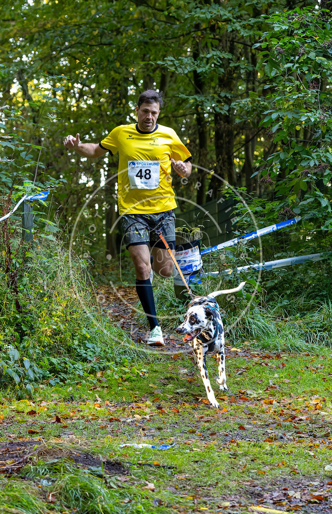 Pfotenfotografie_DV3A6980 | Hundefotografie, Tierfotograf, Pfotenfotografie, Fotoshooting Hund, Hunde Portrait, Hundesport, Hundeportraits, Heideshooting, Hunde, Sportfotograf, Hundefotograf, Turnierhundsport, THS,  - Realisiert mit Pictrs.com