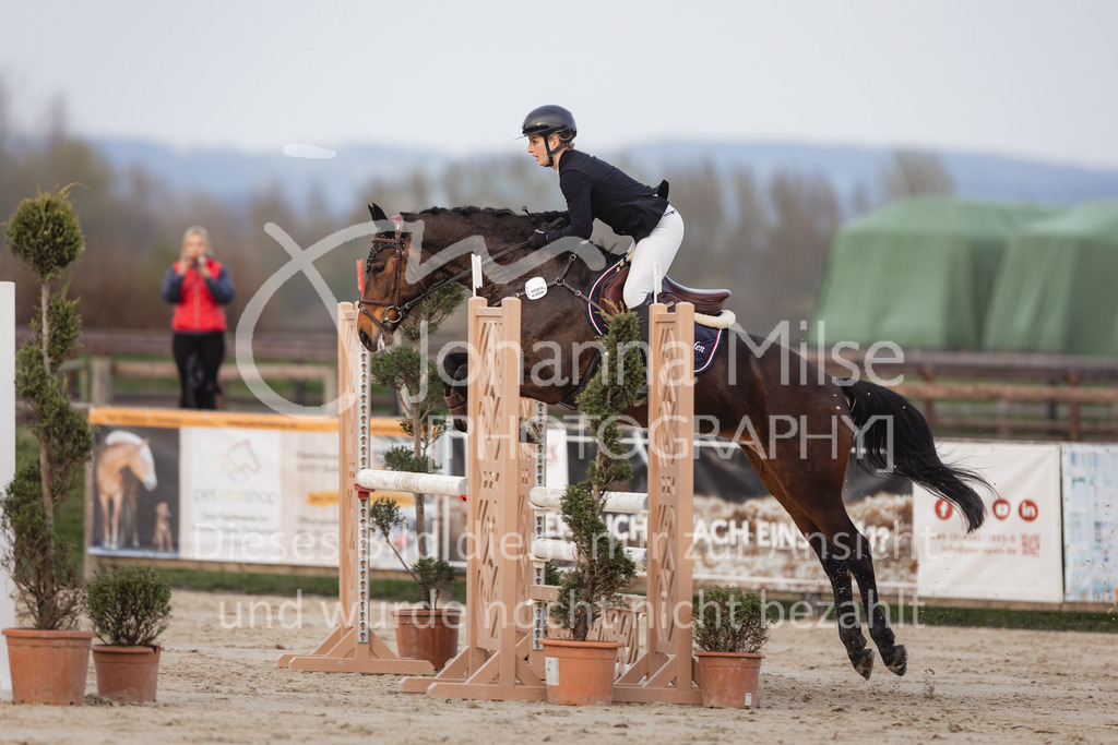 230406_Frühlingsfest_A-Stil2-213 | Deine schönsten Turniermomente als professionelle Fotos! Entdecke hochwertige Pferdesport-Fotografie im Online-Shop. Jetzt Fotos finden & bestellen!