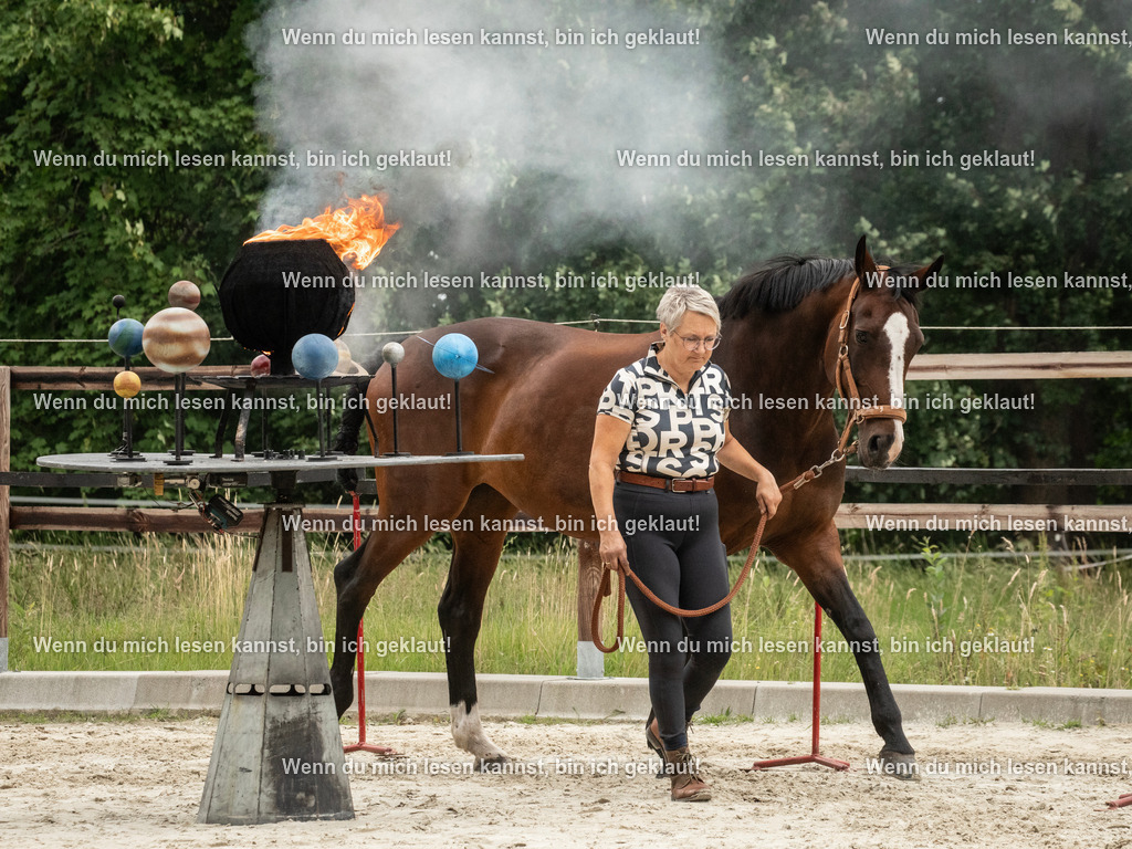 598A8149 | photographylinaismer - Realisiert mit Pictrs.com